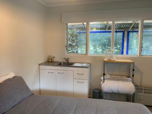 a small bedroom with a sink and a bed at Private Garden Oasis with Pool and Gym in Sentry Hill