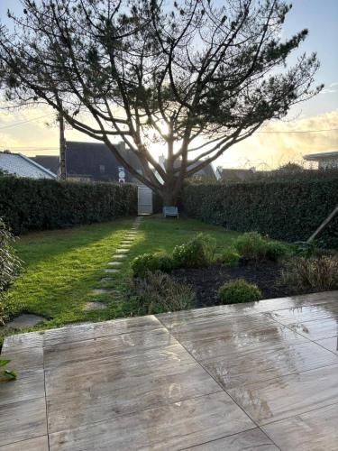 un arbre au milieu d'une cour dans l'établissement Maison les dunes proche plage, à Quiberon