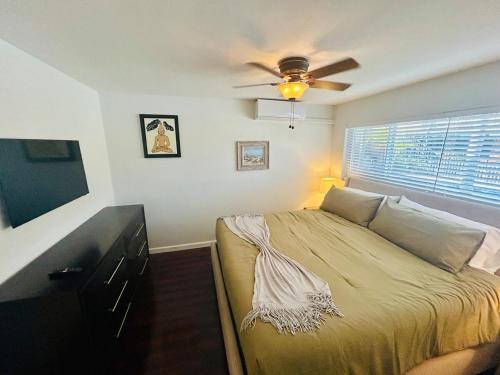 TV/Unterhaltungsangebot in der Unterkunft 2 min walk to beach & free parking Lauderdale 21-2