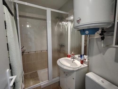 La petite salle de bains est pourvue d'une douche et d'un lavabo. dans l'établissement RESIDENCE PROCHE PLAGE - FR-1-652-50, à Saint-Hilaire-de-Riez