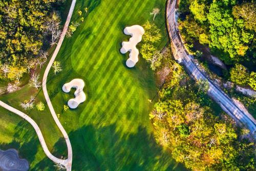 an overhead view of a field with a group of mushrooms at The Buenaventura Golf & Beach Resort, Autograph Collection in Playa Blanca