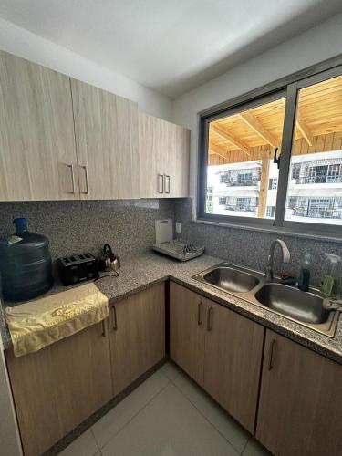 eine Küche mit Spüle und Fenster in der Unterkunft Tu guarida in Santo Domingo