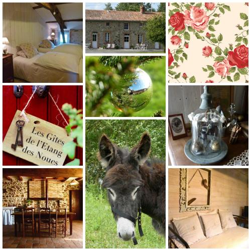 a collage of pictures with a donkey and flowers at Gites De L'Etang Des Noues in Cholet