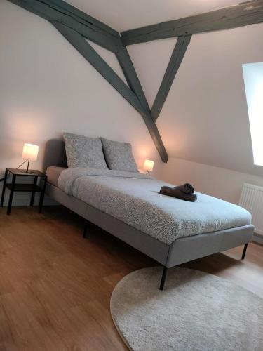 a dog laying on a bed in a room at Home Sweet Home WiFi, TV Access, Strasbourg 25min in Wasselonne