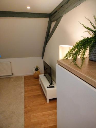 a living room with a television and a plant at Home Sweet Home WiFi, TV Access, Strasbourg 25min in Wasselonne