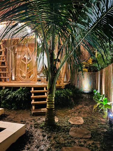 Κήπος έξω από το Bamboo House - Ecobreeze