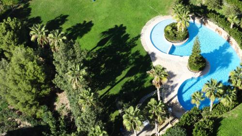 una vista aérea de una piscina con palmeras en Apartamentos Beni-Beach, en Benidorm
