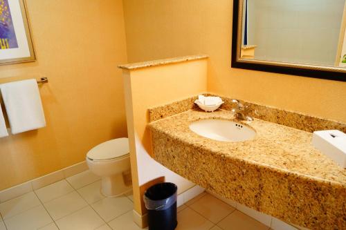 a bathroom with a sink and a toilet at Courtyard Monterrey San Jeronimo in Monterrey