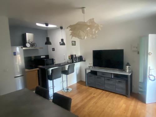 Il comprend un salon avec une télévision à écran plat et une cuisine. dans l'établissement Ferrabouc, à Mas-Saintes-Puelles