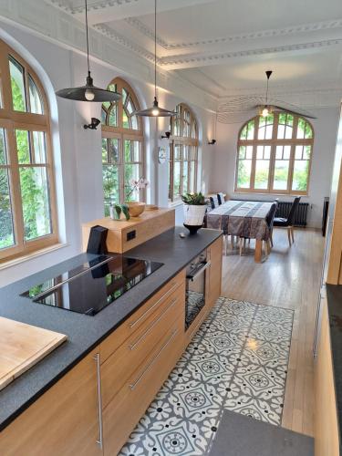 une cuisine avec un comptoir et un salon dans l'établissement Superbe appartement des années 30, à Annecy