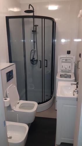 a bathroom with a shower and a toilet and a sink at Holiday house Altea , Barbat on the Island Rab in Rab