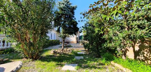 Beautiful villa with swimming pool