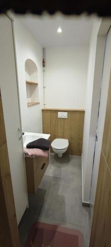 une salle de bain avec toilettes et lavabo dans l'établissement Appartement La Roche Sur Yon, à La Roche-sur-Yon