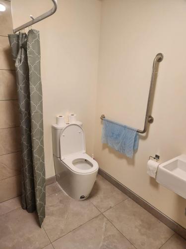 a bathroom with a toilet and a sink at The White House Apartment in Tokoroa