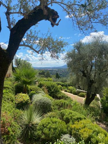 Φυσικό τοπίο κοντά σε αυτό το bed & breakfast