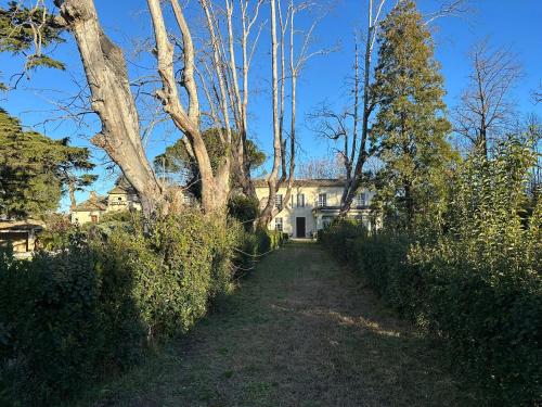 a path leading to a white house with trees at Mas Provençal Luxe - Piscine et parc classé in Avignon