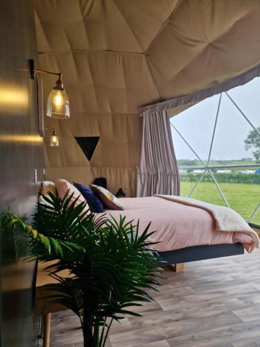 Gallery image of Mountain Forge Escape Glamping/Camping site in Pallas