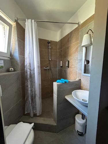 a bathroom with a shower and a toilet and a sink at Boutique Centrale in Brione sopra Minusio