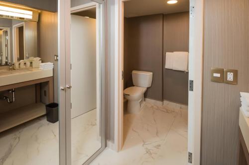 a bathroom with a toilet and a sink at Courtyard Monterrey Airport in Monterrey