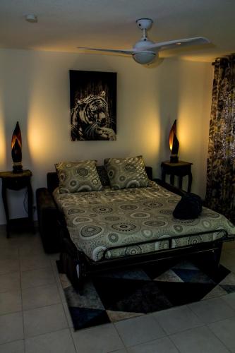 - une chambre avec un lit, deux lampes et un ventilateur de plafond dans l'établissement Studio le Mail Voiron centre, parking gratuit ,Wifi, à Voiron