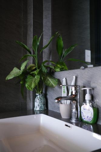 a bathroom sink with a potted plant and a mirror at TuTu's Homestay Phong Nha in Phong Nha