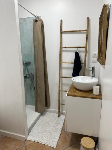 a bathroom with a sink and a shower at Maison privée style provençal in Grane
