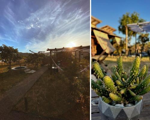 two pictures of a cactus in a yard at Chalés Aurora in Cavalcante