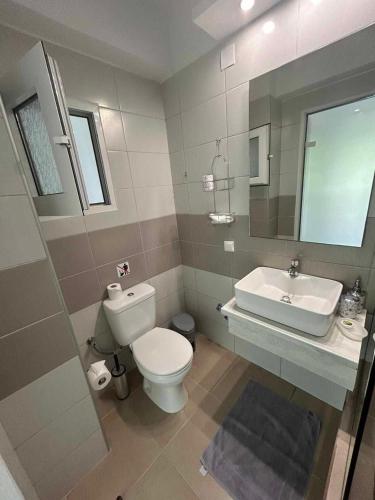 a bathroom with a white toilet and a sink at ERA Studios2 in Skiathos