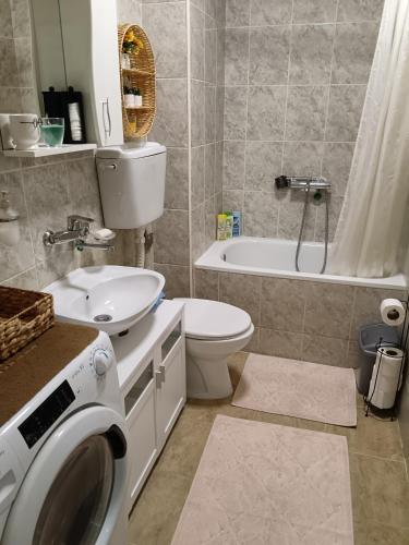 a bathroom with a toilet sink and a washing machine at Sky room 12 in Mladenovac