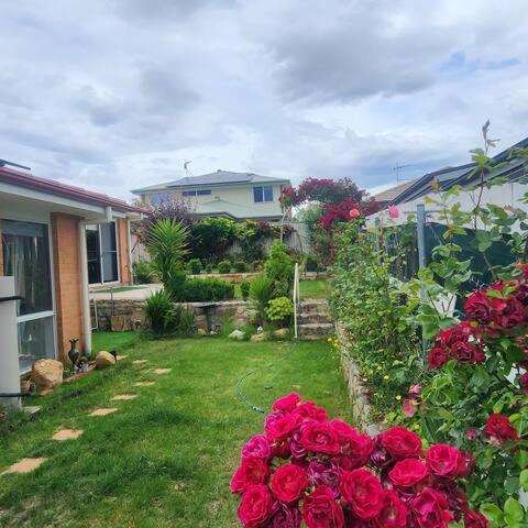 a yard with red roses and a house at 4 Bedroom Peaceful stay in Wright with plenty of room to be with family or friends in Weston Creek