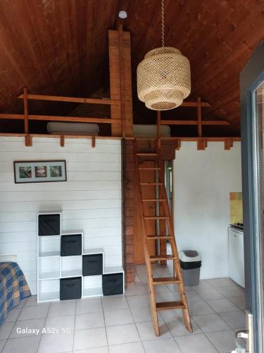 a loft bed with a ladder in a room at Le Domaine du Cerf Blanc in Carentoir