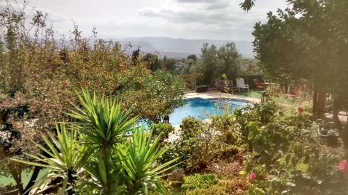 una piscina en un jardín con plantas en Villa Carmencita, en Pozo Alcón