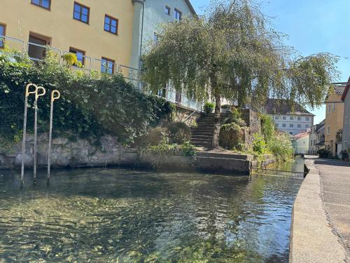 Θέα στο ποτάμι κοντά σε αυτό το διαμέρισμα