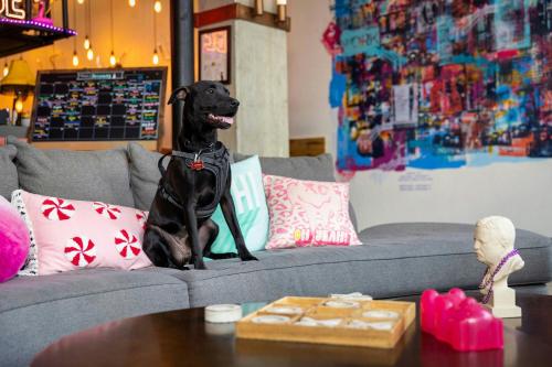 Moxy Washington, DC Downtown Image