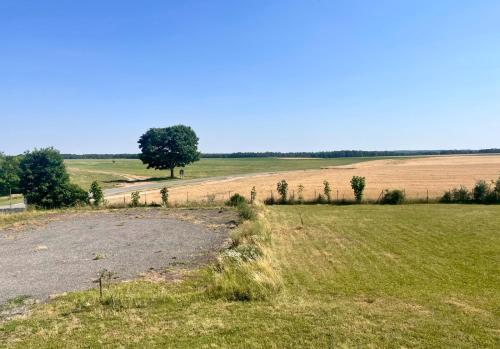 a field with a tree in the middle of a field at Gite de l'Ormes Magnolia in Nanteau-sur-Essonnes