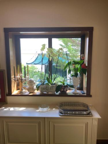 a window with vases and plants on a shelf at An eclectic pied a terre in Dionysos in Dhiónisos