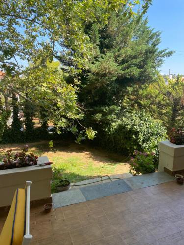 a view of a garden with a bench and trees at An eclectic pied a terre in Dionysos in Dhiónisos