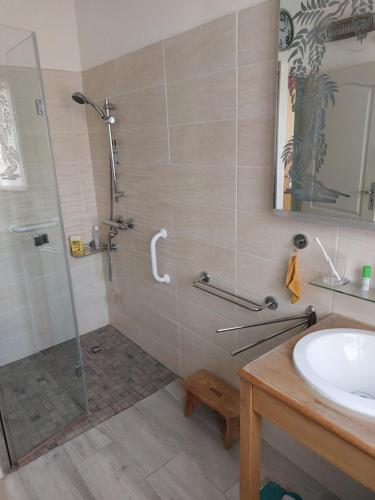 une salle de bain avec douche et lavabo dans l'établissement Jardin Dangla 