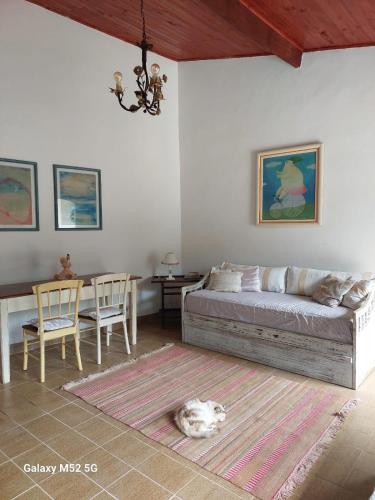 a bedroom with a bed and a cat laying on the floor at Charmosa edícula próxima a praia in São Sebastião