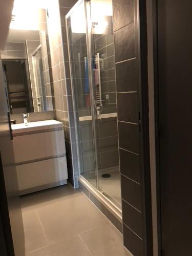 une salle de bain avec une douche, un lavabo et un miroir dans l'établissement Appartement T2 Cabine Résidence Antinéa au Cap d'Agde proche plage et port secteur Richelieu, au Cap d'Agde