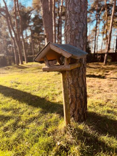 Jardín al aire libre en Vakantievilla 't Boshuys