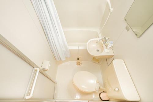 御殿場市にあるFujiminoyado - Vacation STAY 62143vのトイレと洗面台のある小さなバスルーム