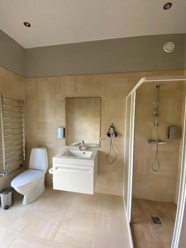 a bathroom with a toilet and a sink and a shower at Mārtiņmāja in Saraiķi