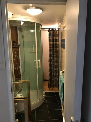 une salle de bain avec une douche, un lavabo et des toilettes dans l'établissement Place du village Haute Provence, à Puimichel