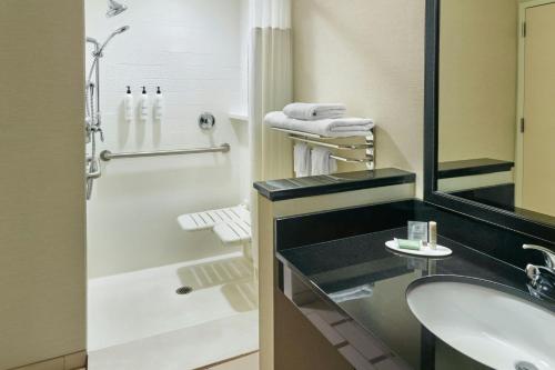 Koupelna v ubytování Fairfield Inn & Suites by Marriott Jackson
