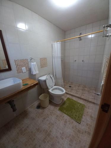 a bathroom with a toilet and a sink and a shower at Cabaña La Hacienda 1 in Mineral del Chico