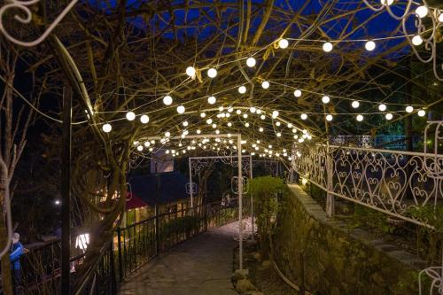 a garden with lights on a bridge at night at ELIVAAS Zephyr Sierra - 2 BHK Hillside Retreat With Common Pool, Gym & Restaurant in Mussoorie
