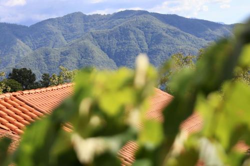 a view of the mountains from a roof at Agriturismo Montagna Verde Apella in Licciana Nardi