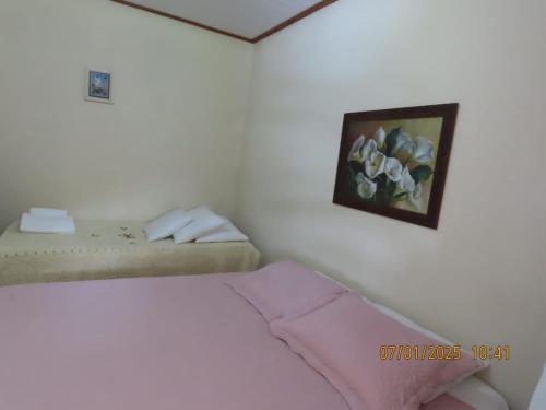a bedroom with a bed and a picture of flowers on the wall at Passarinhada Hospedagem in Domingos Martins