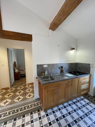 une cuisine avec un évier et un plan de travail dans l'établissement appartement chez l'artiste, à Minerve